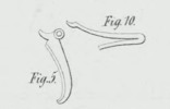 Fig. 5 - 10