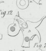 Fig. 12 Table 28 patent of Castle William and Philip Fell Dodge