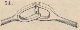 Brown - figure 051