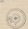 Brown - figure 055
