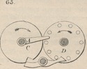 Brown - figure 065