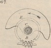 Brown - figure 067