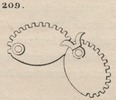 Brown - figure 209