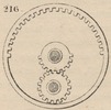 Brown - figure 216