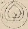Brown - figure 217