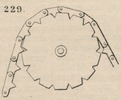 Brown - figure 229
