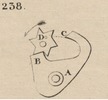 Brown - figure 238
