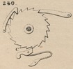 Brown - figure 240