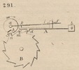 Brown - figure 291