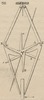 Brown - figure 311