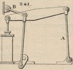 Brown - figure 341