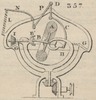 Brown - figure 357