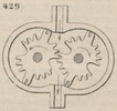 Brown - figure 429
