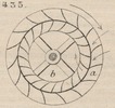 Brown - figure 435