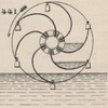 Brown - figure 441