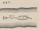 Brown - figure 447