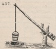 Brown - figure 457