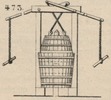 Brown - figure 473