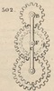 Brown - figure 502