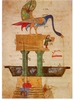 peacock_fountain