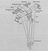Hoist with safety brake