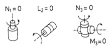 Components of percussion link in the dynamic analysis of open chains