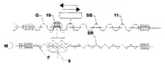 Multiple Axis Actuator - Kinematics Schema of the Parallel Lineal Actuator