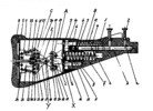 Butt-stock Axial Section