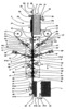 Continuous fabrication equipment for a building element - Schematic View