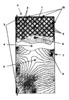 Structure of Door Panel