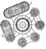 Coupling for Misalignment Shafts - Section through Elastic Rods
