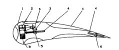 Captive automodel - Horizontal section of the self-model according to the invention