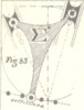 Fig.83
