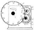 PIN-WHEEL MECHANISM WITH A REVERSIBLE DRIVEN GEAR