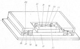Device View and Section