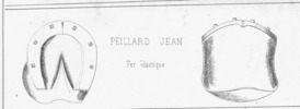 Tav. 85, Peillard Jean Fer élastique